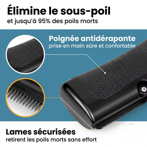 Brosse Retire-Poils Morts