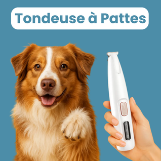 Tondeuses à Pattes