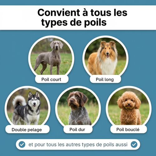 Brosse Retire-Poils Morts