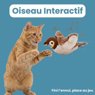 Oiseau Interactif