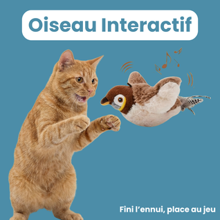 Oiseau Interactif