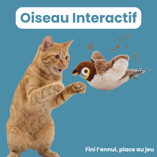 Oiseau Interactif