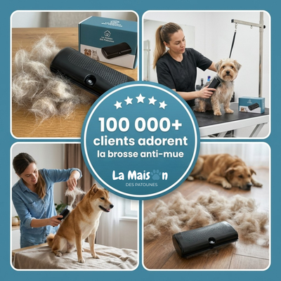 Brosse Retire-Poils Morts