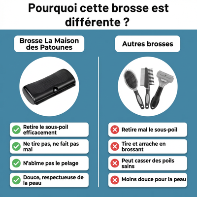 Brosse Retire-Poils Morts