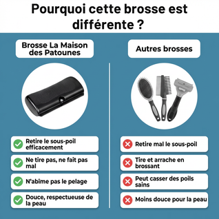 Brosse Retire-Poils Morts