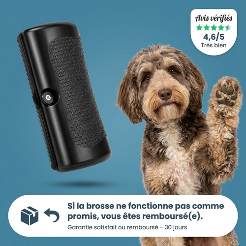 Brosse Retire-Poils Morts