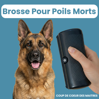 Brosse Retire-Poils Morts
